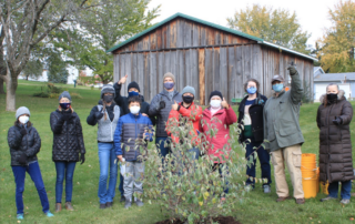 1000+ trees planting event