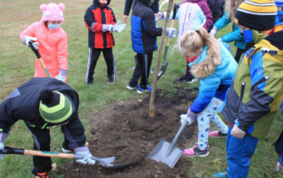 1000+ trees planting event