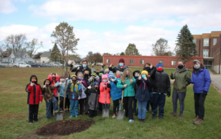1000+ trees planting event