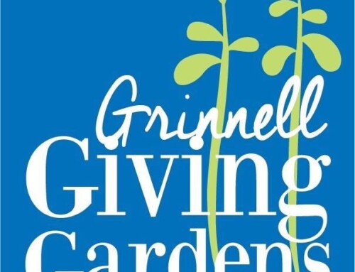 FOOD FOR ALL:  Why urban farming has its advantages.