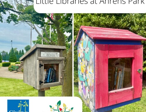 Ahrens Park is home to TWO Little Libraries!