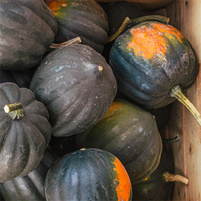 Acorn squash