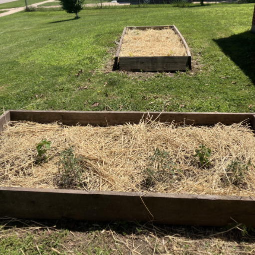 bailey garden
