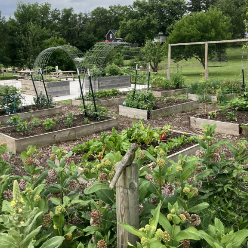 marvin garden